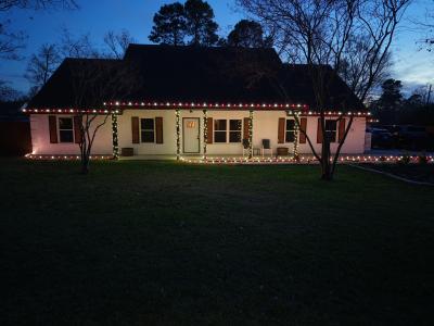 Christmas Light Installation