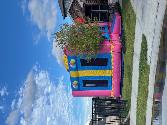 Pink Birthday Bash Package