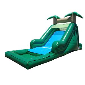 16' Tropical Wet or Dry Slide
