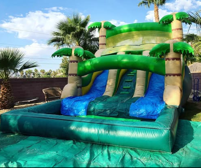 17' Tropical Dual Lane Wet Slide