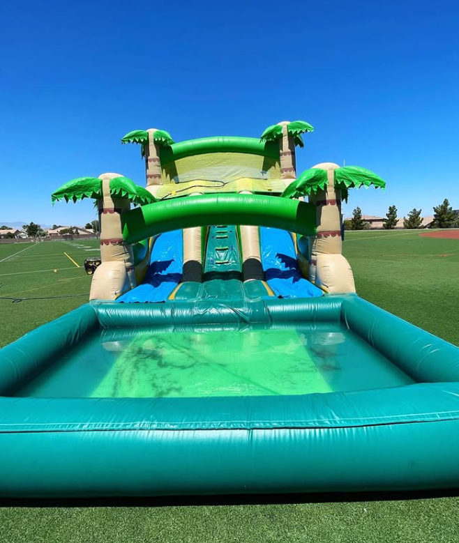 17' Tropical Dual Lane Wet Slide