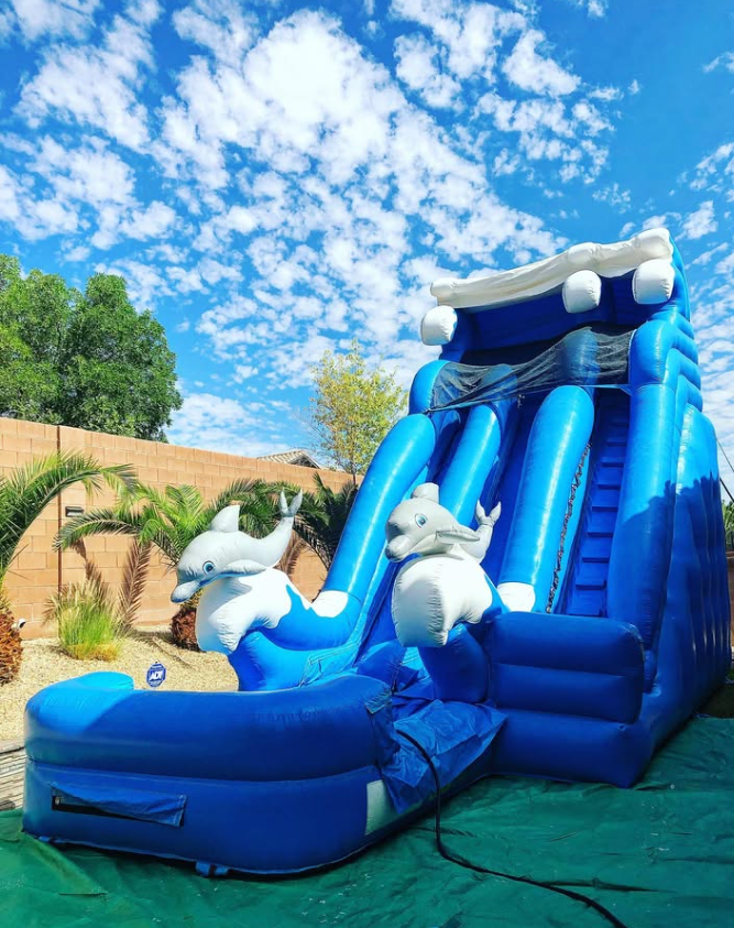 20' Dual Lane Dolphin Wet or Dry Slide