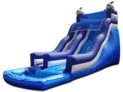 20' Dolphin Water Slide