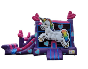 Unicorn- (14’x26’)