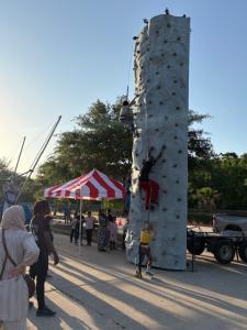Climbing Rock Wall Incl Staff