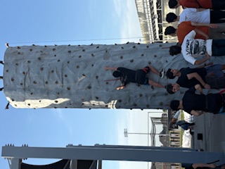 Climbing Rock Wall Incl Staff